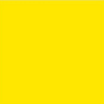 Rico Sock Stop - Neon Yellow