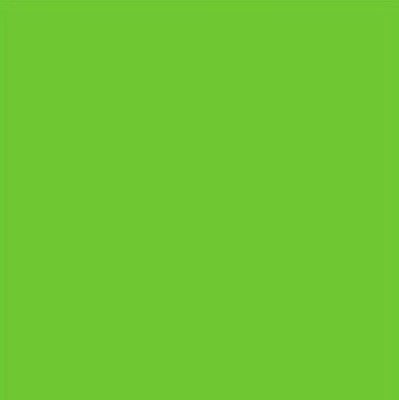 Rico Sock Stop - Neon Green