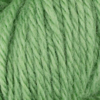 West Yorkshire Spinners Bo Peep Pure DK - 381 Rosemary