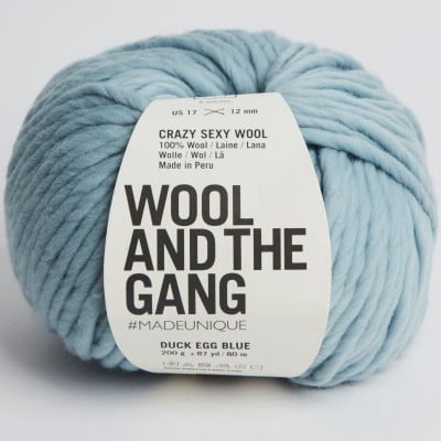 Wool and the Gang Crazy Sexy Wool - Duck Egg Blue
