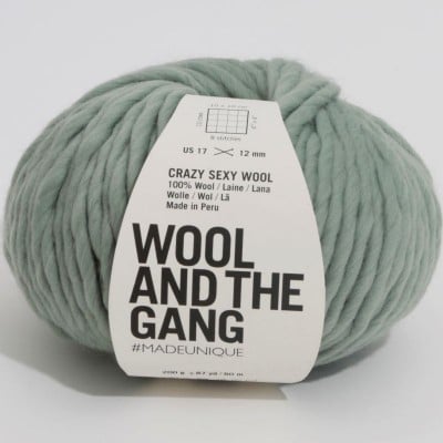 Wool and the Gang Crazy Sexy Wool - Eucalyptus Green