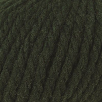 Rowan Big Wool - 043 Forest