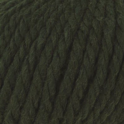 Rowan Big Wool										 - 043 Forest