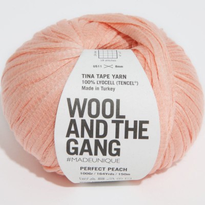 Wool and the Gang Tina Tape Yarn - Perfect Peach