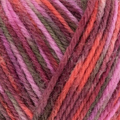 West Yorkshire Spinners Colour Lab DK - 1030 Botanical Bloom