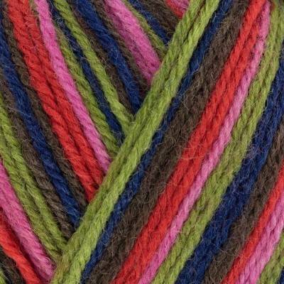 West Yorkshire Spinners Colour Lab DK - 1032 Forest Stripes