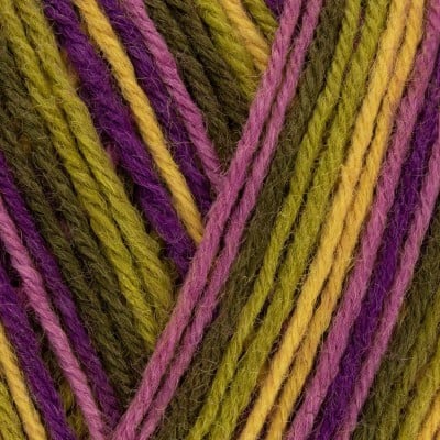 West Yorkshire Spinners Signature 4 Ply - 811 Passionfruit Cooler