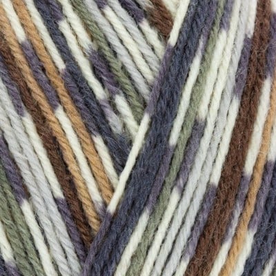 West Yorkshire Spinners Signature 4 Ply - 877 Owl