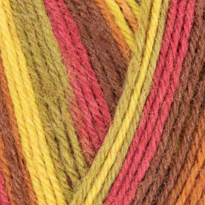 West Yorkshire Spinners Signature 4 Ply - 885 Autumn Leaves