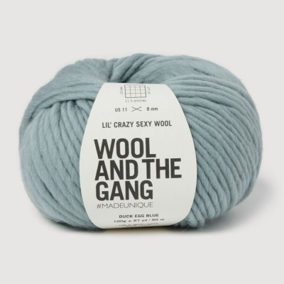 Wool and the Gang Lil Crazy Sexy Wool										 - 150 Duck Egg Blue