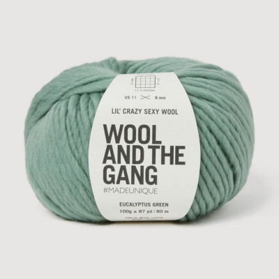 Wool and the Gang Lil Crazy Sexy Wool										 - 033 Eucalyptus Green