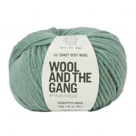 Wool and the Gang Lil Crazy Sexy Wool