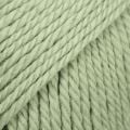 8923 UNI Sage Green