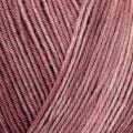 Regia Premium Silk Color