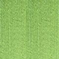 1703 Kiwi