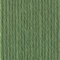 Patons Wool Aran 278 Leaf Green