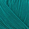 2634 Teal