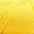 008 Happy Yellow