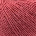 3323 Raspberry