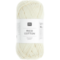 002 Ivory