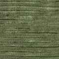 024 Olive