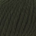 043 Forest