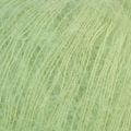 K0014 Celery