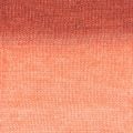 005 Coral