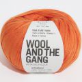 Wool and the Gang Tina Tape Yarn