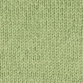 1127 Eucalyptus