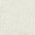 1171 Winter White