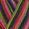 West Yorkshire Spinners Colour Lab DK 1032 Forest Stripes