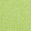 0255 Lime Sorbet