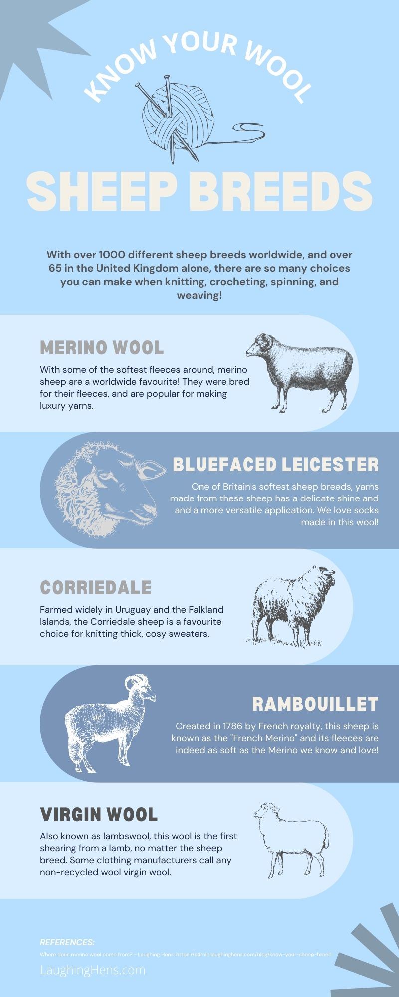 Merino wool and other sheep breeds